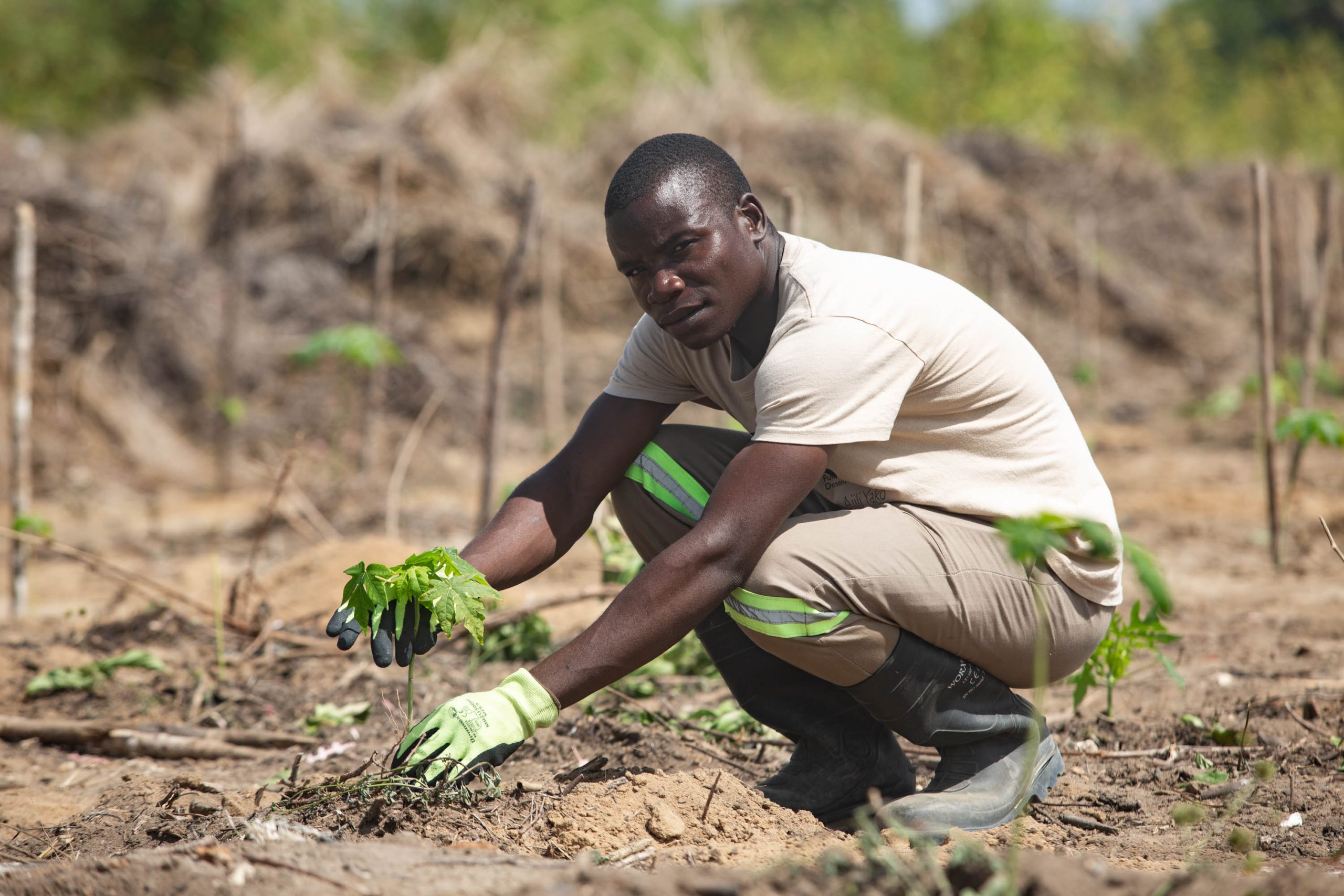 20250801-Matapata-0011