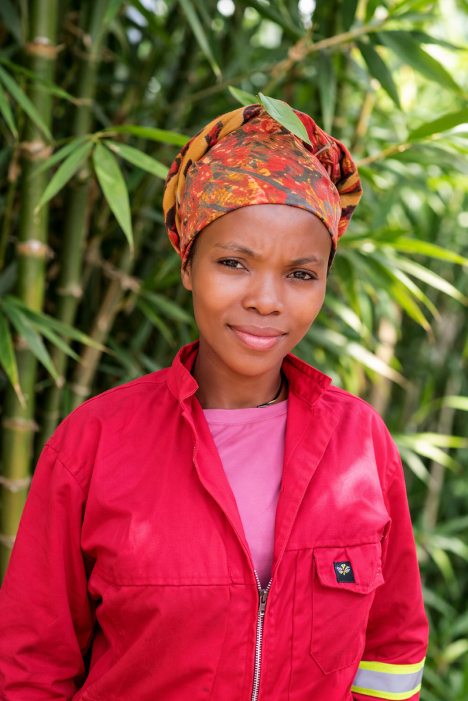 From Survival to Rebuilding